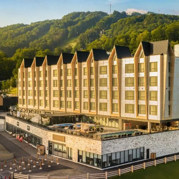 Residence Inn by Marriott Bromont, מלון בברומונט