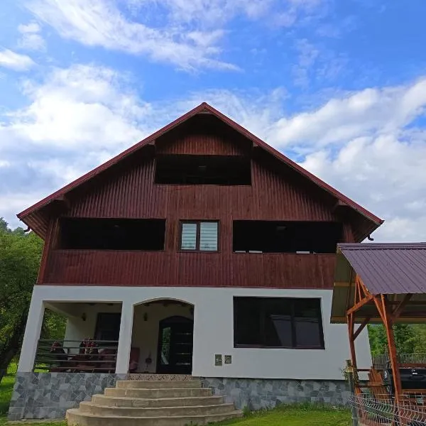 Casa Bebe, hotel u gradu Grinţieş