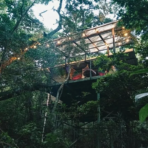 Jungle Living Tree Houses, hotelli Monte Verdessä