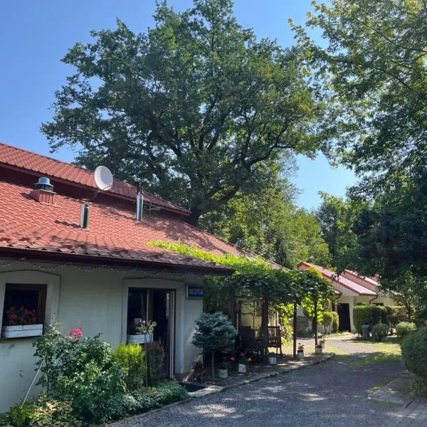Noclegi Pod Dębem u Jakuba, hotelli kohteessa Niepołomice