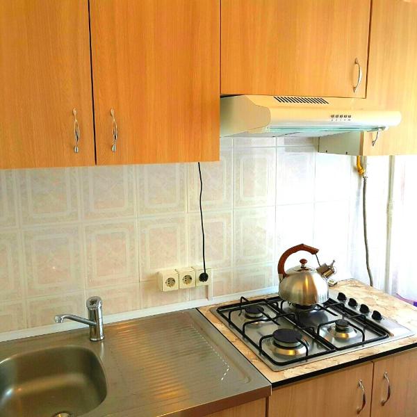 Apartment on Lesi Ukrainki 16