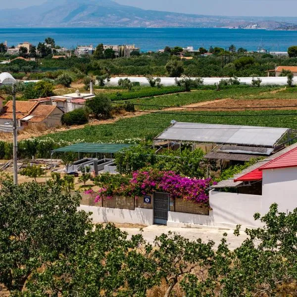 Garden Room with Private Patio Salamis, hotel u gradu 'Eantio'