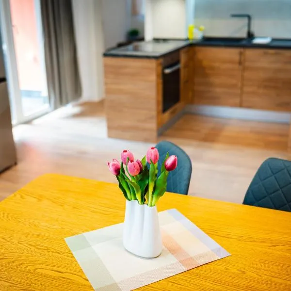 Апартамент за гости 26 ОРФЕЙ, hotel em Shumen