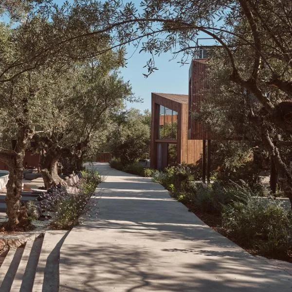 Prosilio olive tree houses, hotel in Tsilivi