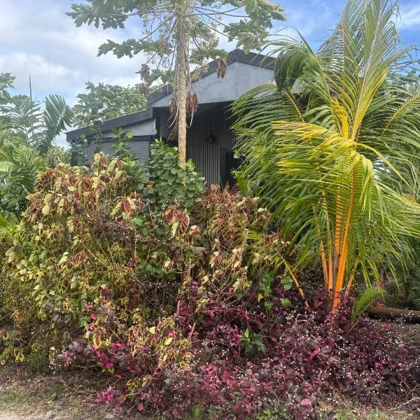 Taumeasina Island Beach Pod, hotel Apiában