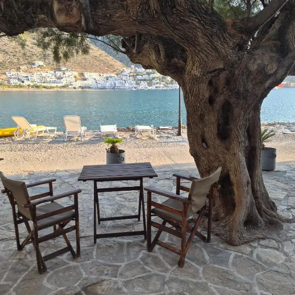 Armiriki Seaside, hotel in Kamares