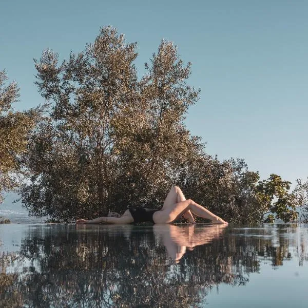 Puro Dão Hotel & Spa، فندق في نيلاس