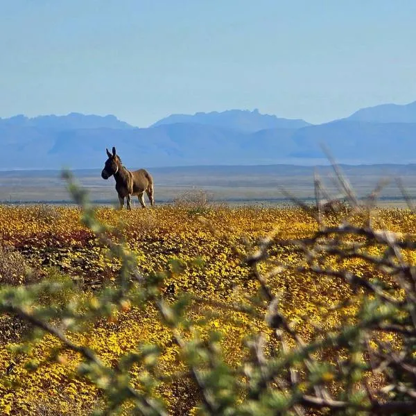 Skoorsteenberg Farm Camping & Accommodation, hotel u gradu Tankwa Karoo
