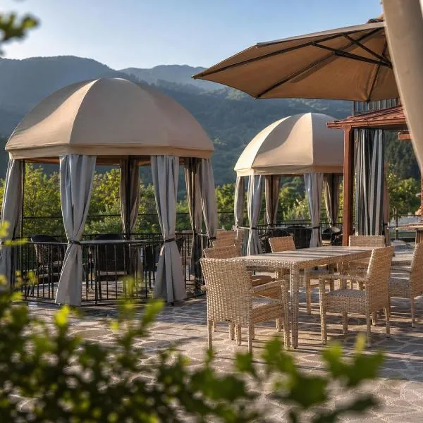 Pesvebi Design Hotel and Cellar: Borcomi şehrinde bir otel