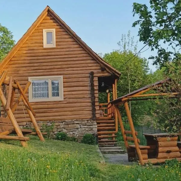 Forest House – hotel w mieście Nizhniy Studenyy