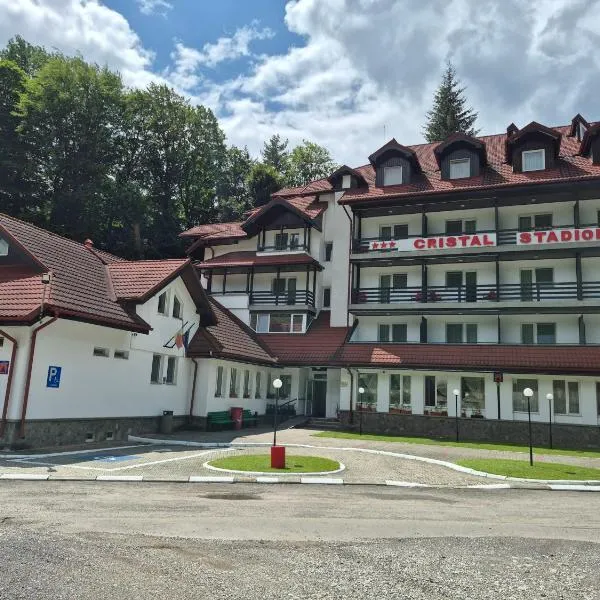 Cristal Sinaia: Sinaia şehrinde bir otel