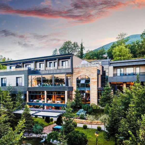 Resort Anes Drinit, hotel a Pejë