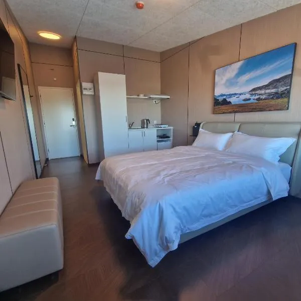 Icystudios, hotel din Ilulissat