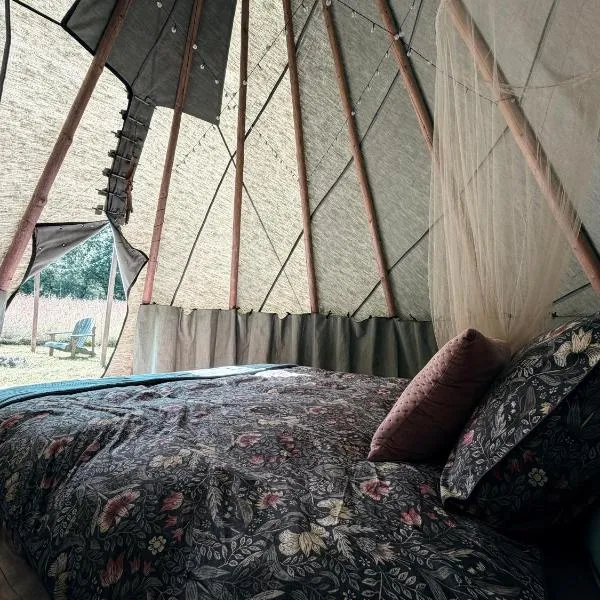 Zariņmājas Mistērija: Tselʼaraii şehrinde bir otel