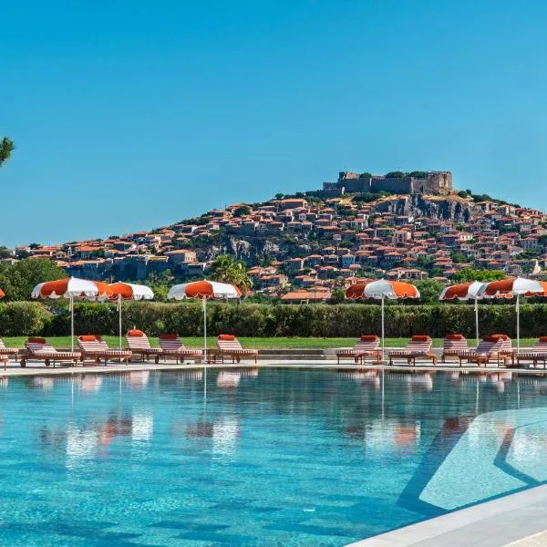 Hotel Delfinia, hotel in Mithymna