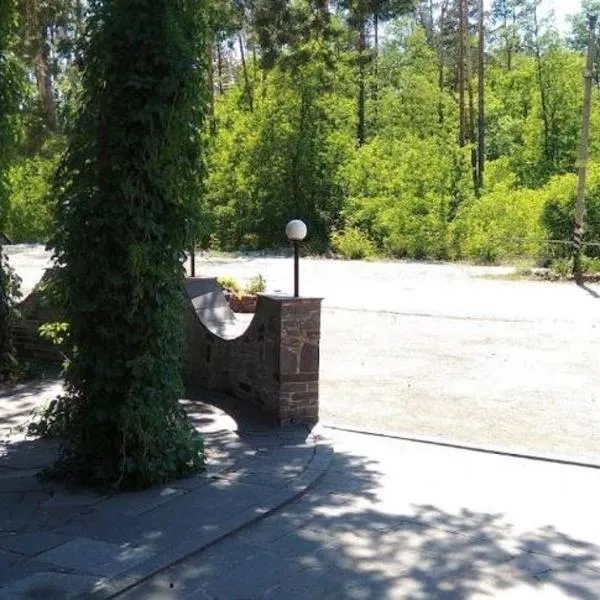 Кафе Готель Люкс,位于Tsarivka的酒店