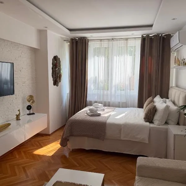 Golden Apartment, hotel u gradu 'Zaječar'
