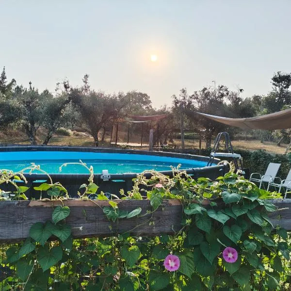Quinta Lima, hotel din Sertã