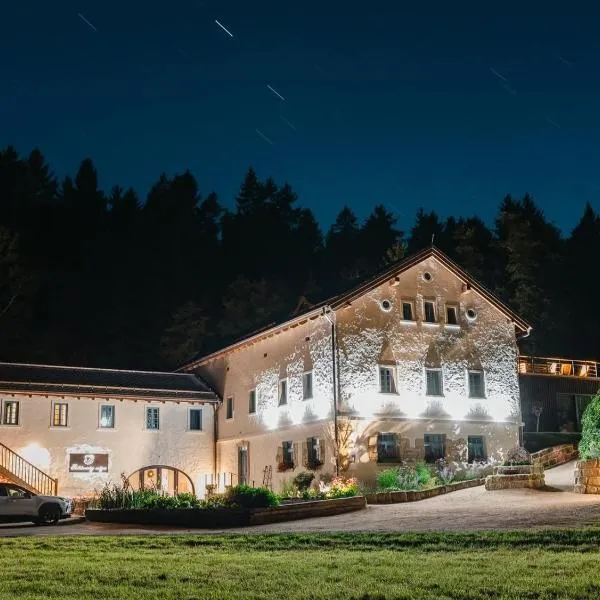 Podhlavický mlýn, hotelli kohteessa Všelibice