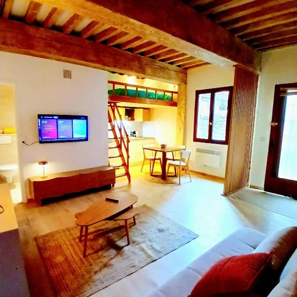 Élégant loft centre ville calme avec mezzanine 2 à 4 personnes, hotel din Lyon
