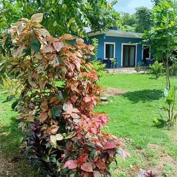 Jack Fruit House, hotel en Negril