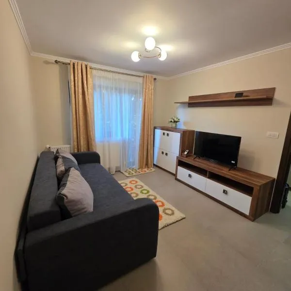 Tilia Home Apartament, hotel u gradu Odobeşti