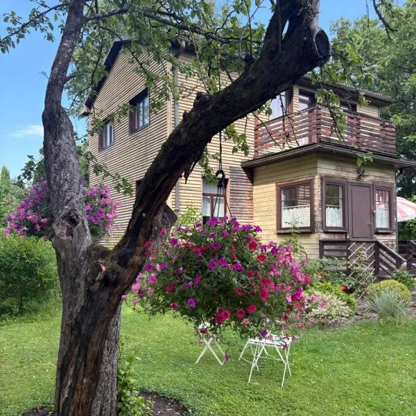 Vēsturiska privātmāja Ogres centrā, Hotel in Ogre