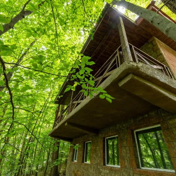 Maestro Rest House Dilijan, hotel u gradu 'Dilijan'