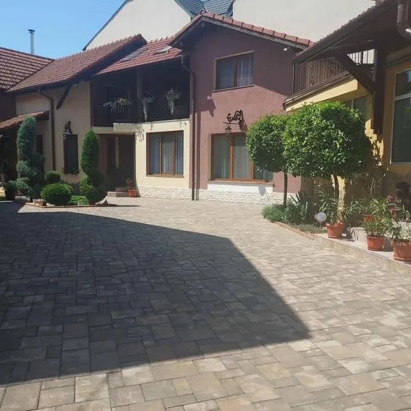 The Cozy Backyard Home- satu Mare, hotel en Satu Mare