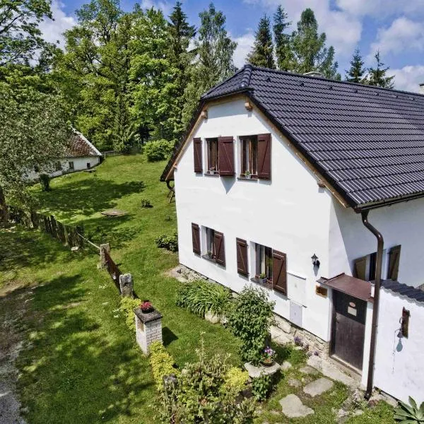 Penzion Albeř, hotel in Nová Bystřice