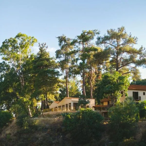 Pine View Boutique Hotel Adults Only – hotel w mieście Troodos