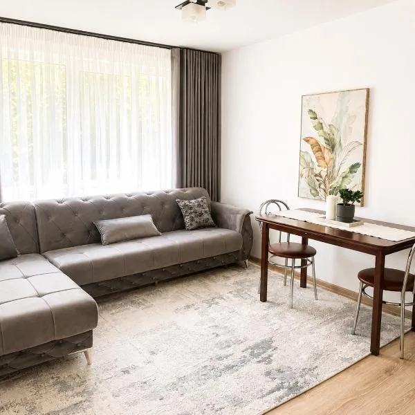 Apartament Central Pietonalul Unirii, hotel a Botoşani