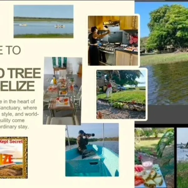 CROOКED TREE LODGE Belize, hotel i Crooked Tree