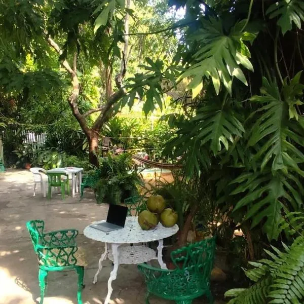 Jungle Palace hostal santaella, hotell i Puerto Escondido