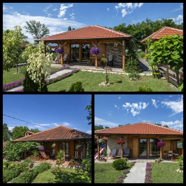 Apartman Dača Banja Ždrelo, hotel sa Malo Laole