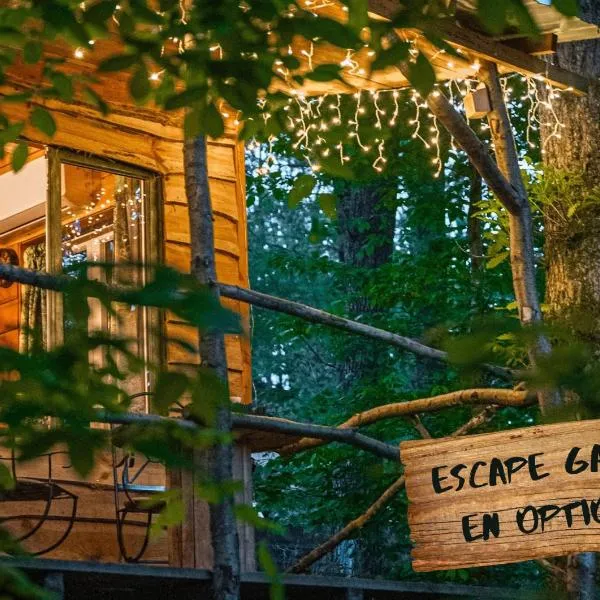 La cabane aux écureuils, hotel a Philippeville