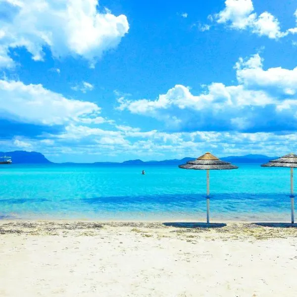 Appartamento Delfino Azzurro Golfo Aranci Italia Aggiornato 2026 appartamento-delfino-azzurro-golfo-aranci-italia-aggiornato-2026