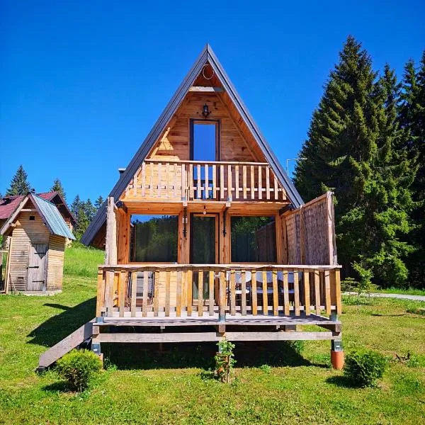 Brvnara Panda Tara, hotel din Rača