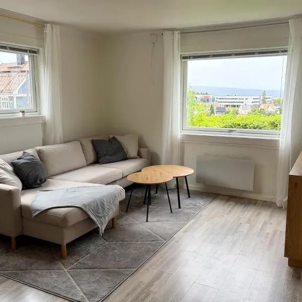 Stor leilighet med parkering nært Narvik sentrum, hotel v destinácii Narvik