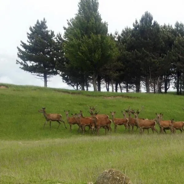 Albergo Ristorante Poli – hotel w mieście Madonna di Fornelli