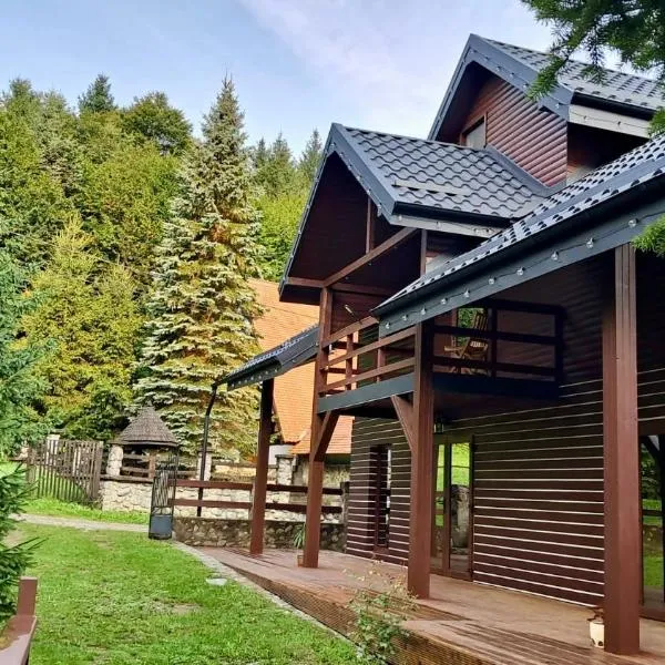 Cîrţişoara में, होटल Valmont Lodge