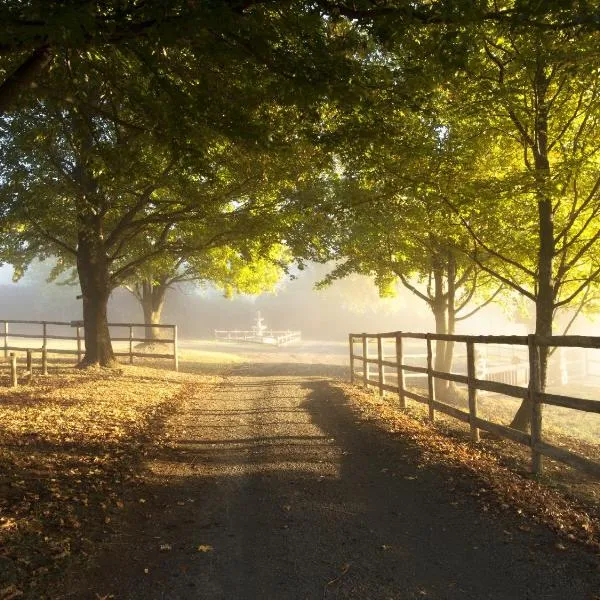 Whispering Waters, hotel in Fort Nottingham