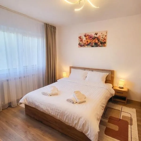 Sfântu-Gheorghe में, होटल Prime Residence, 2 Bedrooms, 2 Bathrooms, Free Parking, City Center Sfantu Gheorghe