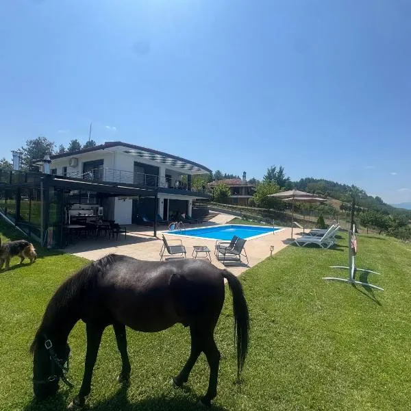 Luxury Villa rafaela grevena, hotel em Grevena