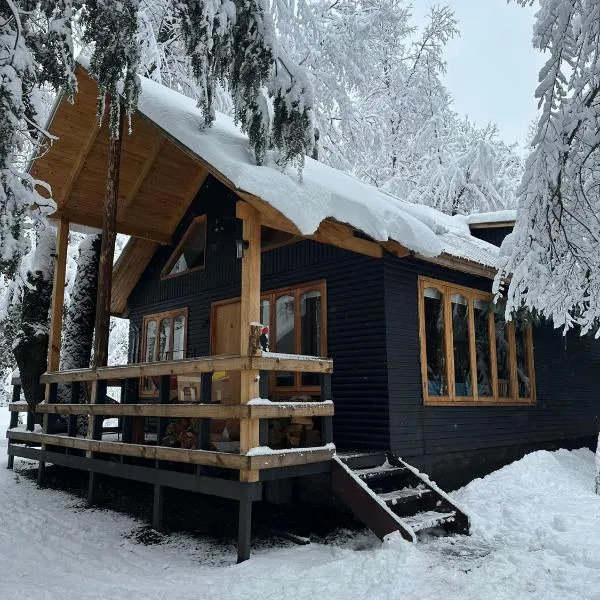 Cabañas Bosque las Trancas,位于拉斯特朗卡斯的酒店