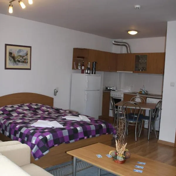 Studio Moni, hôtel à Pamporovo