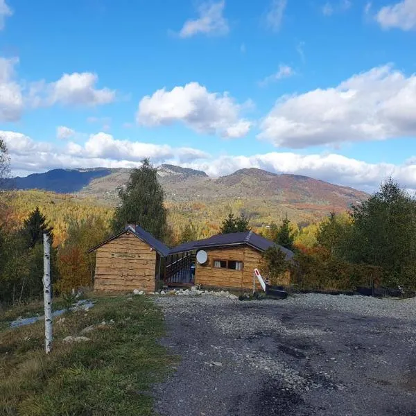 Cabana doi mesteceni, hotel em Drumu Carului