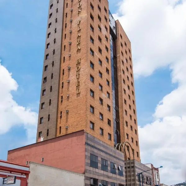 Hotel Carlton Plaza, hotel v destinaci Poços de Caldas