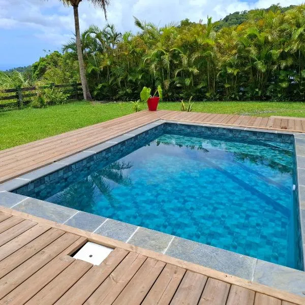 Chalet vue mer, piscine, hotel en Saint-Claude