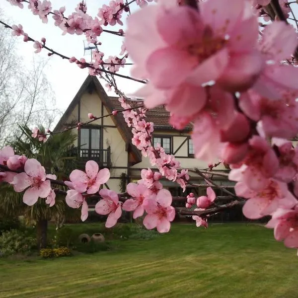 Los Arces, hotel in Elosu